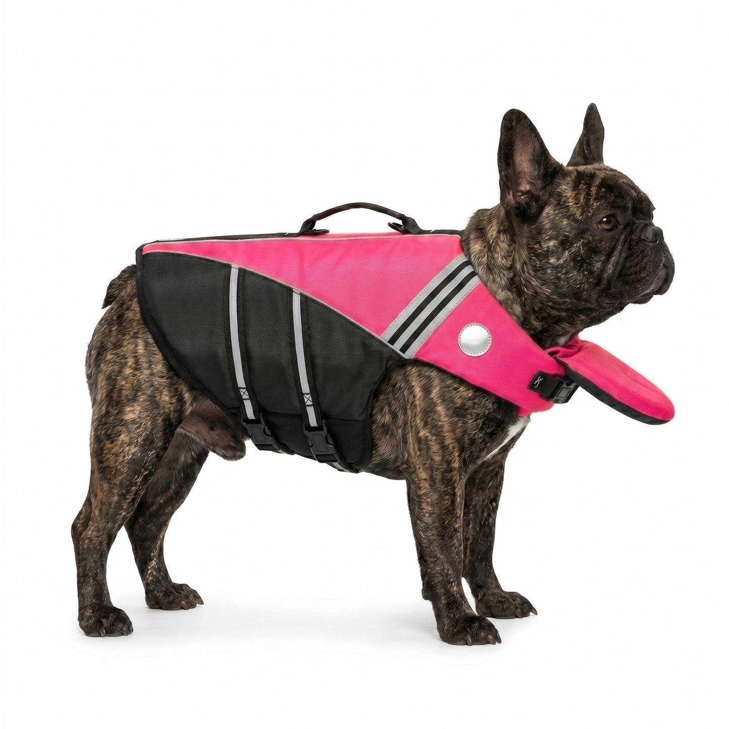 OlaPets™ Life Jacket