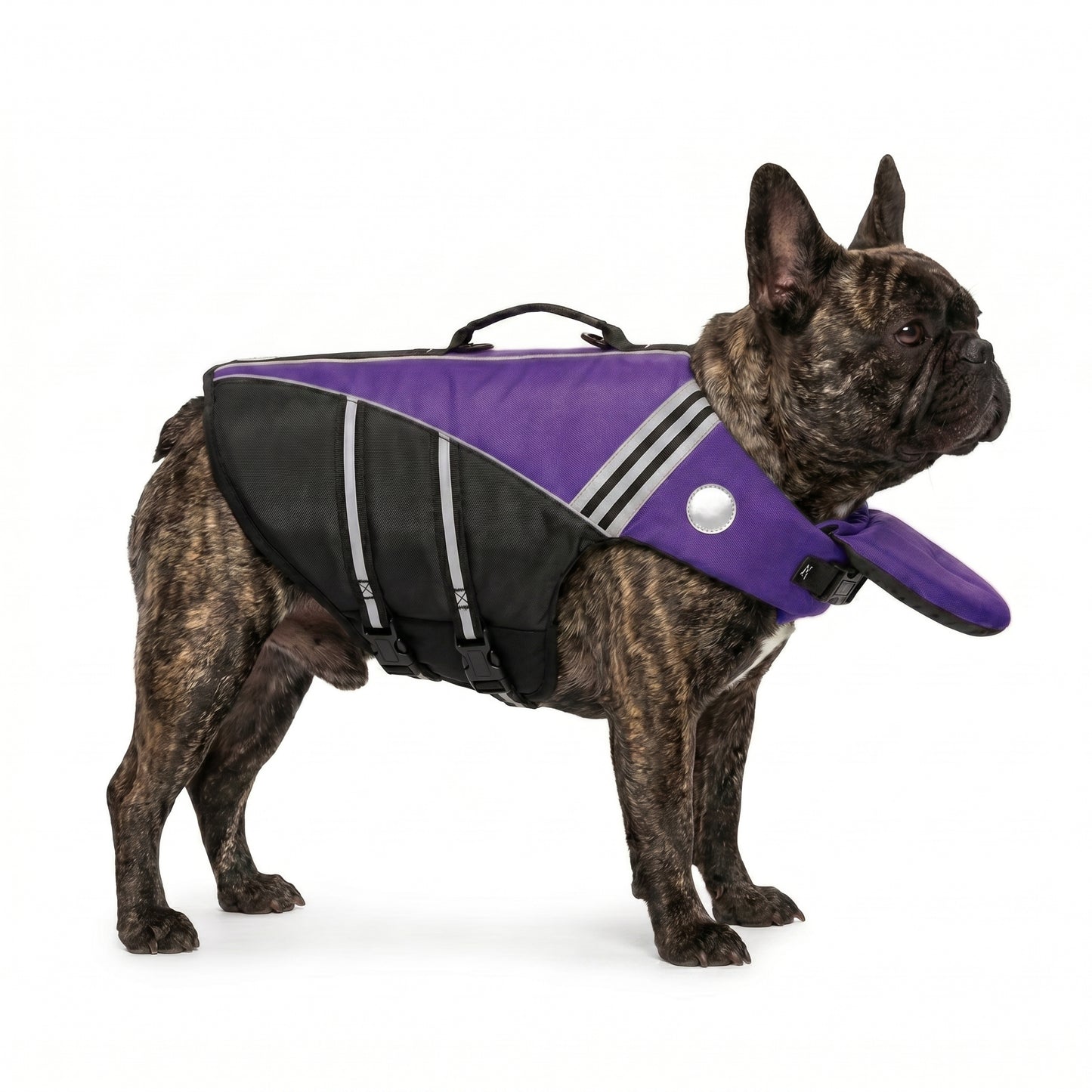 OlaPets™ Life Jacket