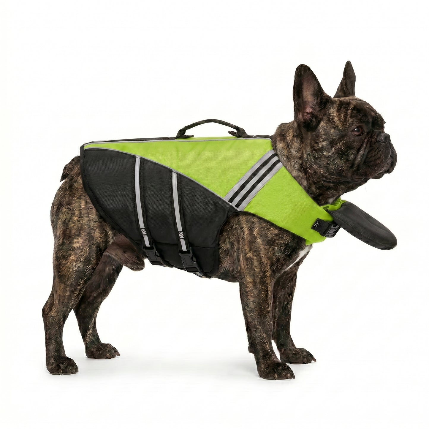 OlaPets™ Life Jacket